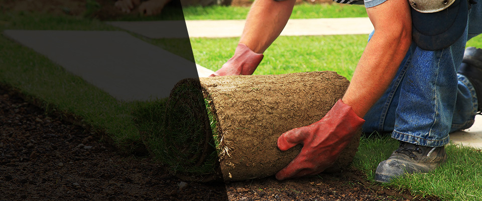 Waynesboro Landscapers